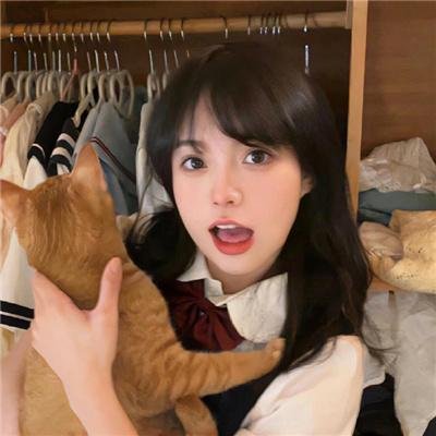森林泰山2